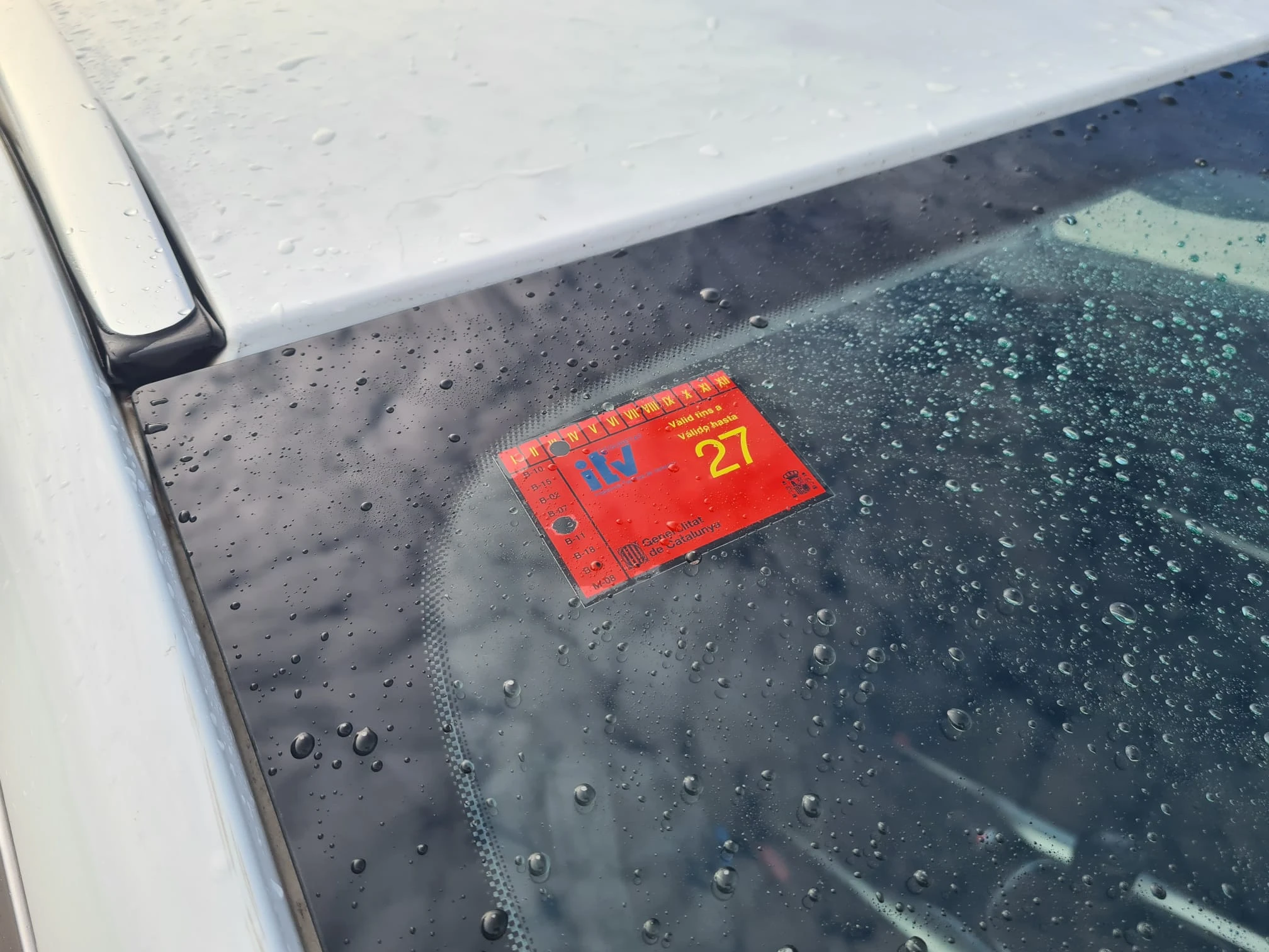 whatsapp_image_2026_01_14_at_08_20_56_4_1_1x